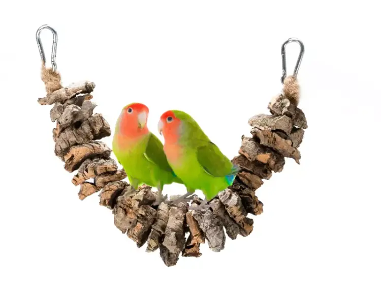 Most z Kory Dębu korkowego | 40 cm | dla papug małych i średnich  od ParrotPlanet.pl