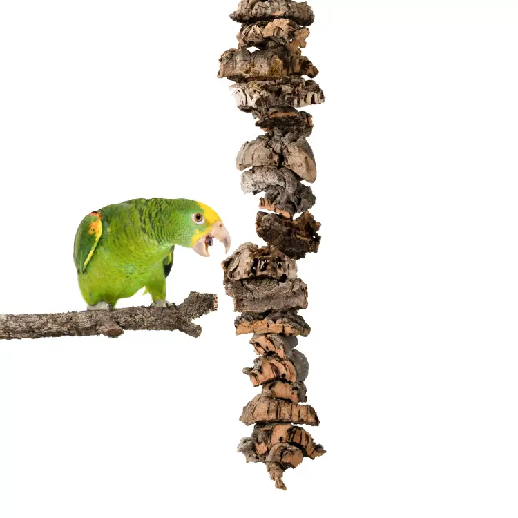 Naturalna zabawka z kory Dębu korkowego XL | Gryzak dla papug średnich i dużych | korek dla papugi od ParrotPlanet.pl