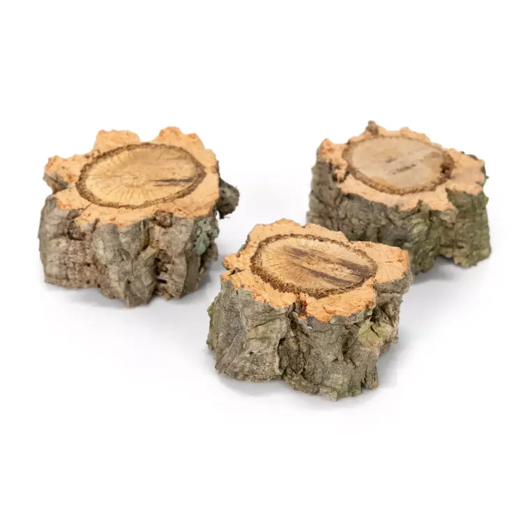 Zestaw Gryzaków z Kory Dębu Korkowego | Zestaw 3 szt | zabawka do łapki | Gryzak dla Papug | lub części DIY od ParrotPlanet.pl