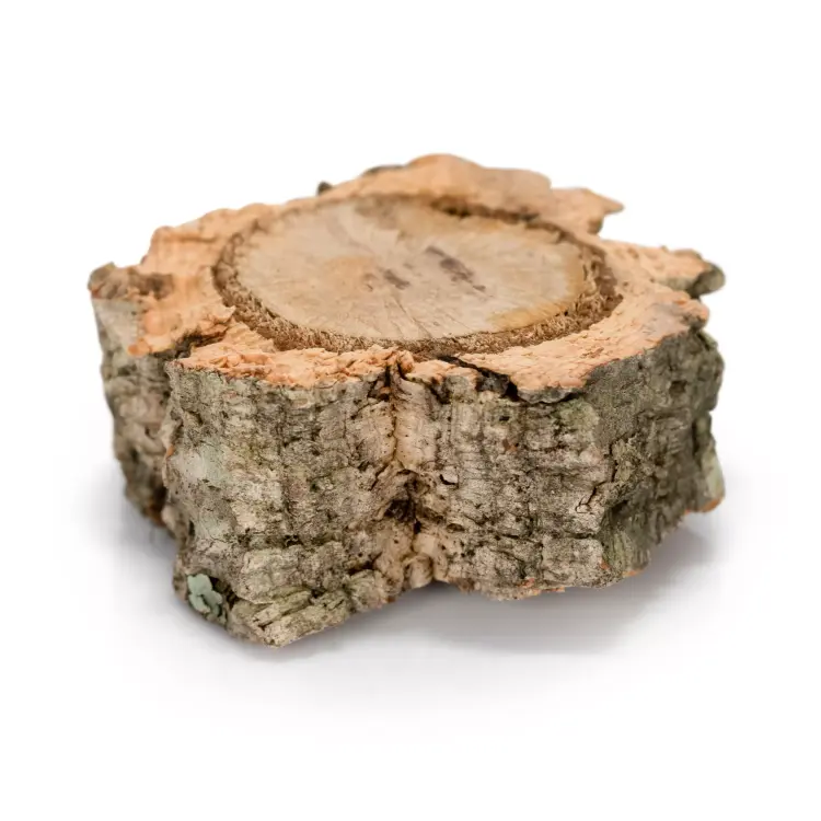 Zestaw Gryzaków z Kory Dębu Korkowego | Zestaw 3 szt | zabawka do łapki | Gryzak dla Papug | lub części DIY od ParrotPlanet.pl