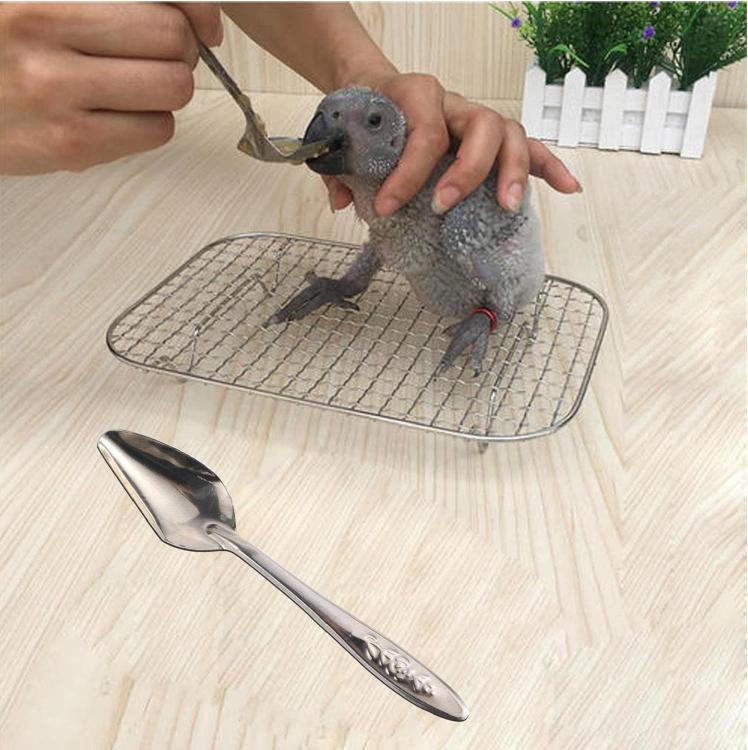 Wysokiej jakości Łyżka do ręcznego karmienia piskląt ze stali nierdzewnej od ParrotPlanet.pl
