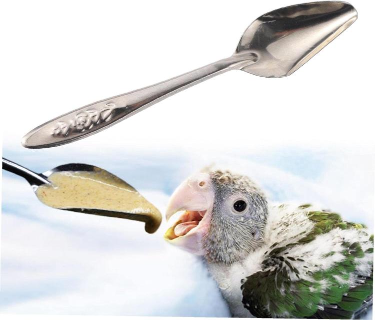 Wysokiej jakości Łyżka do ręcznego karmienia piskląt ze stali nierdzewnej od ParrotPlanet.pl