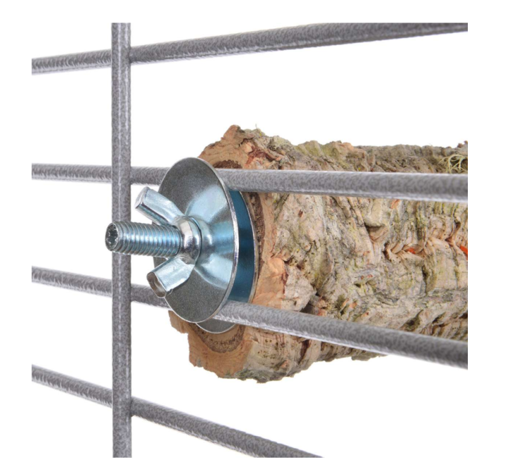 DąB Korkowy M - Żerdź naturalna dla średnich papug od ParrotPlanet.pl