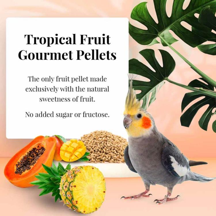 Lafeber Gourmet Pellets - Tropical Fruit - Cockatiel -Zbilansowany pokarm: granulat z owocami dla nimf 56g PRÓBKA od ParrotPlanet.pl