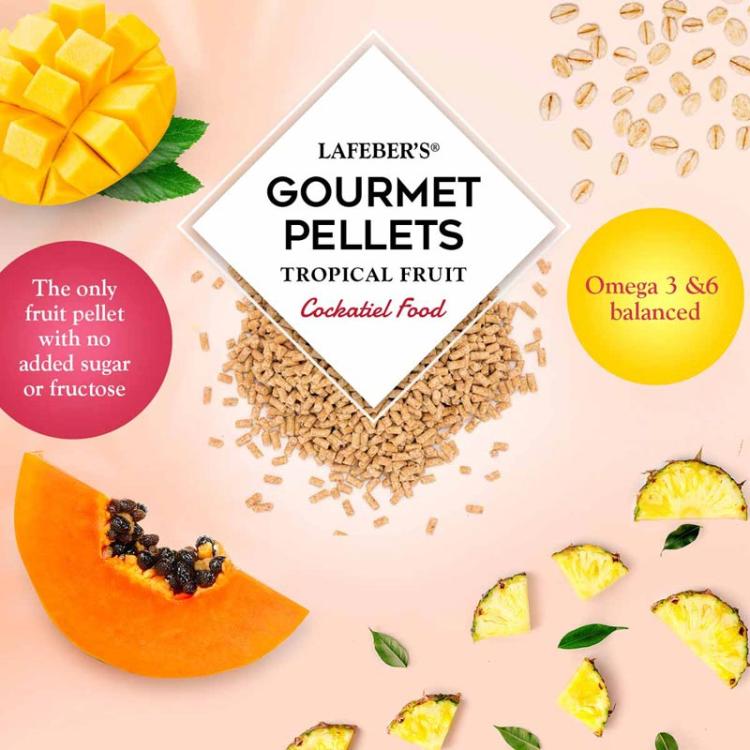 Lafeber Gourmet Pellets - Tropical Fruit - Cockatiel -Zbilansowany pokarm: granulat z owocami dla nimf 56g PRÓBKA od ParrotPlanet.pl