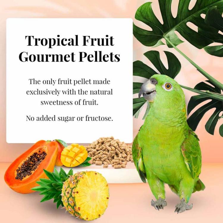Lafeber Gourmet Pellets - Tropical Fruit - Parrots -Zbilansowany pokarm: granulat z owocami dla dużych papug 56G PRÓBKA  od ParrotPlanet.pl