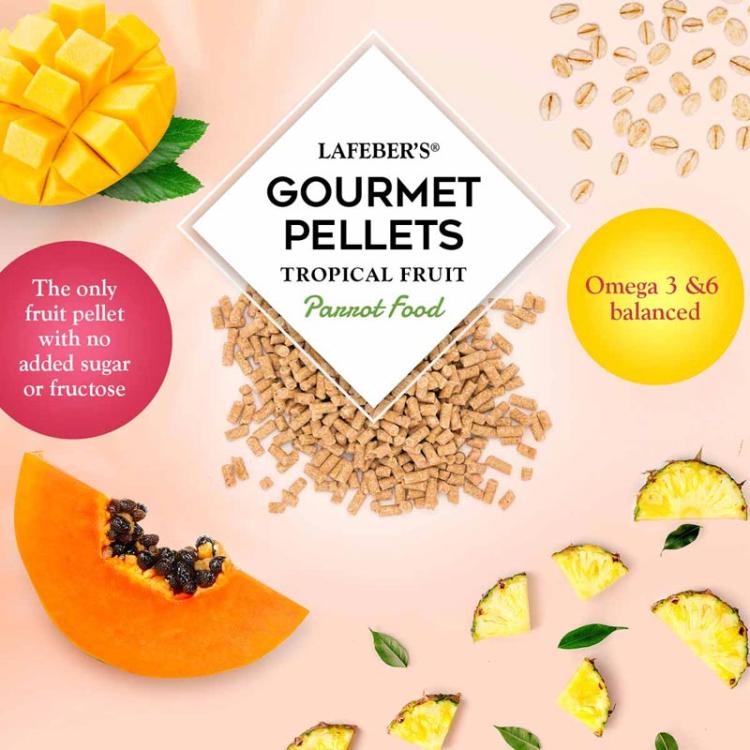 Lafeber Gourmet Pellets - Tropical Fruit - Parrots -Zbilansowany pokarm: granulat z owocami dla dużych papug 56G PRÓBKA  od ParrotPlanet.pl