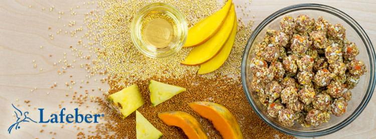 Lafeber NutriBerries Tropical Fruit- Pokarm: ziarno z owocami tropikalnymi w kształcie kuleczek dla średnich i dużych papug 28g PRÓBKA od ParrotPlanet.pl