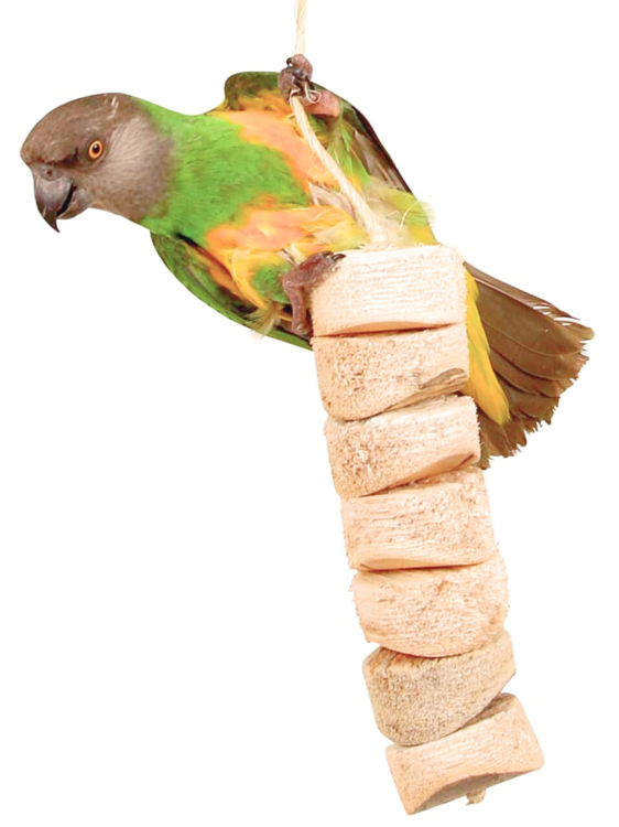 Naturalny Kebab S od parrotplanet