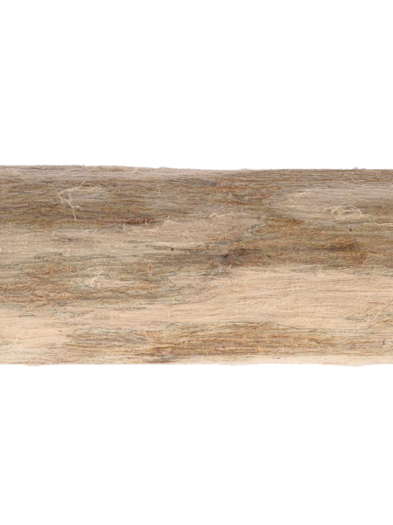 Drewniana żerdź dla papug z wierzby - roz. XXL - średnica ok. 4-6 cm długość ok. 50 cm od ParrotPlanet