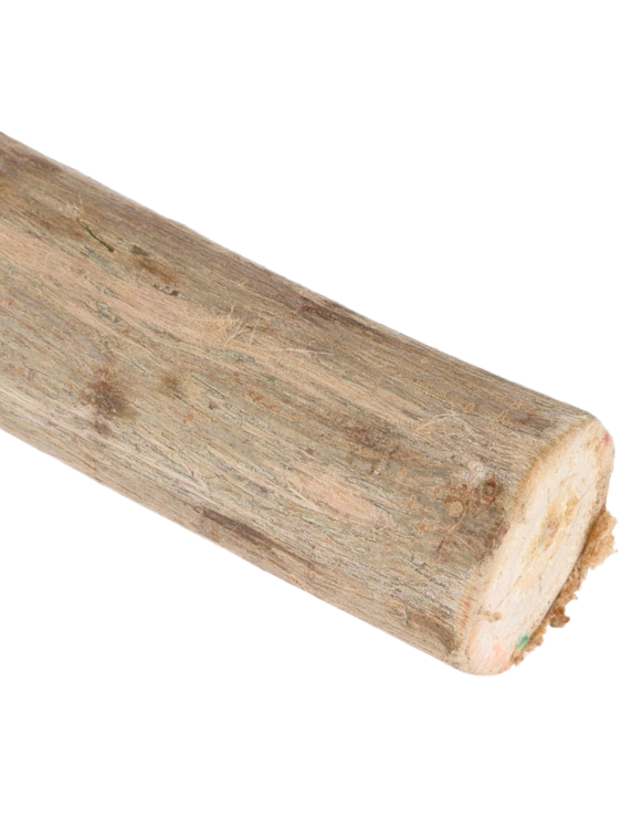 Drewniana żerdź dla papug z wierzby - roz. XXL - średnica ok. 5-6 cm długość ok.40 cm od ParrotPlanet
