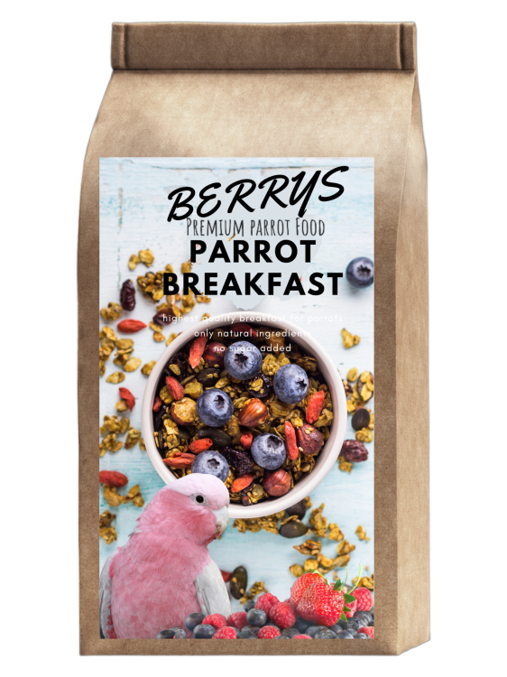 HOT Berry Parrot Breakfast - Papuzie danie śniadaniowe, lub obiadowe na ciepło dla wszystkich papug 150g od ParrotPlanet.pl