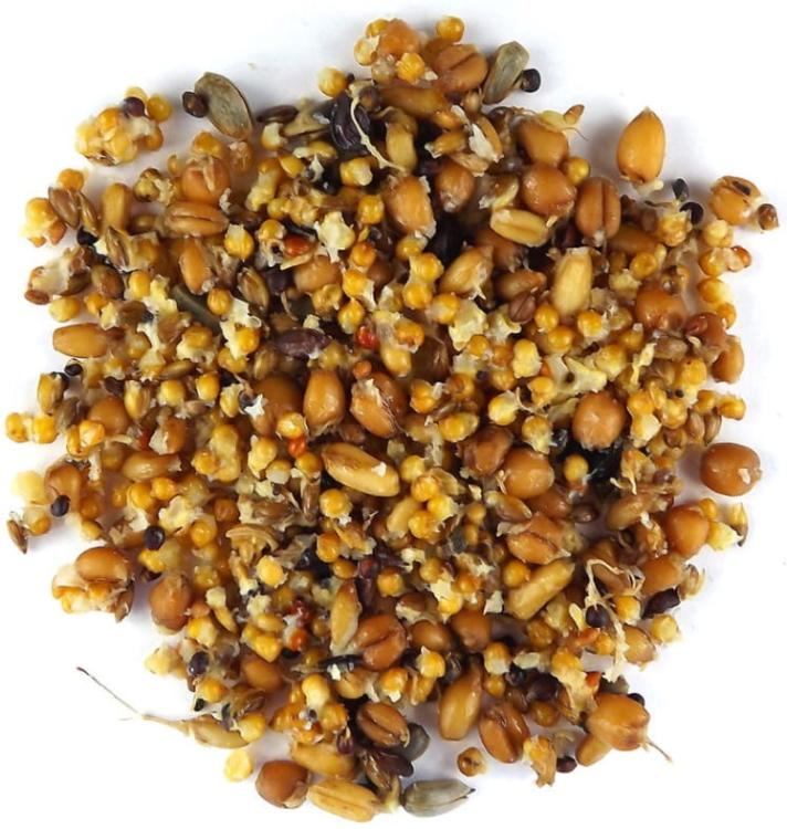 Claus Keimfutter - Naturalne Kiełki dla PapUzek falistych i innych małych PaPug 210ml od ParrotPlanet.pl