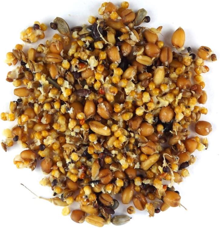 Claus Keimfutter - Naturalne Kiełki dla PapUzek falistych i innych małych PaPug 370ml od ParrotPlanet.pl