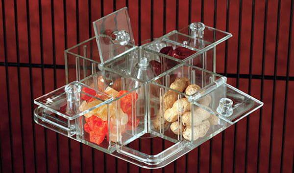 Misa Obiadowa - zastawa stołowa dla papug od ParrotPlanet.pl