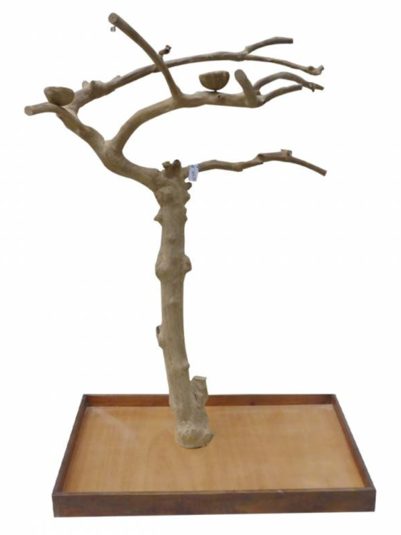 Drzewo JAVA Wysokie (Typ AL) - rozmiar XL - wymiary drzewka ok.170 x 120 x 80 cm od ParrotPlanet.pl