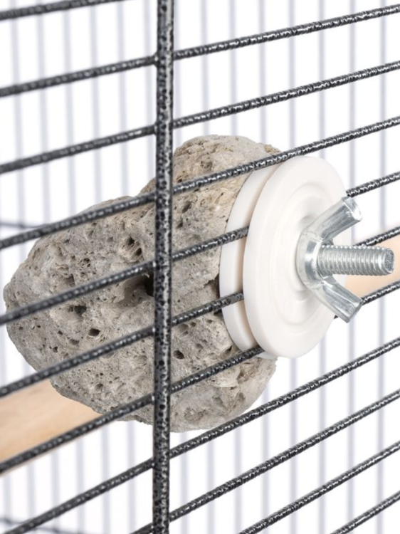 Naturalny kamień lawowy dla papug od ParrotPlanet.pl