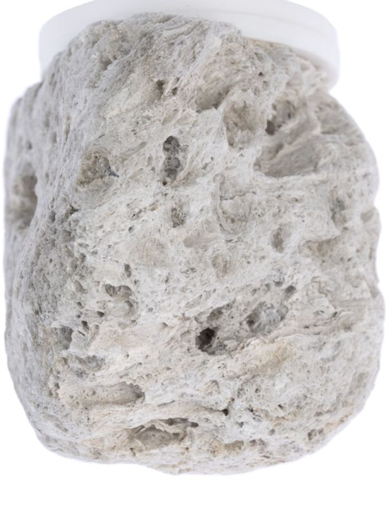 Naturalny kamień lawowy dla papug od ParrotPlanet.pl