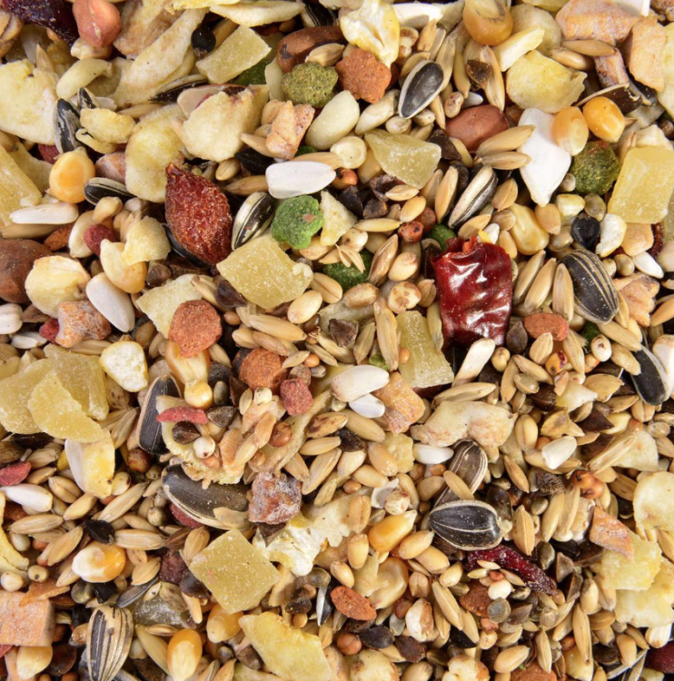 AMAZONA Wagner's - mieszanka dla AMAZONEK 2,5kg od ParrotPlanet.pl