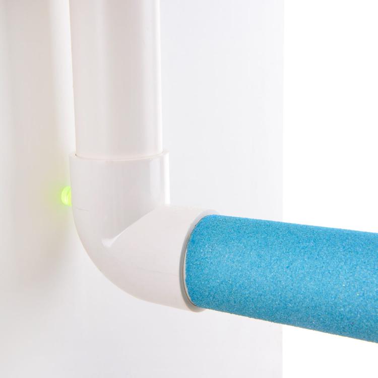 Żerdź pod prysznic XL - dla dużych papug od ParrotPlanet.pl