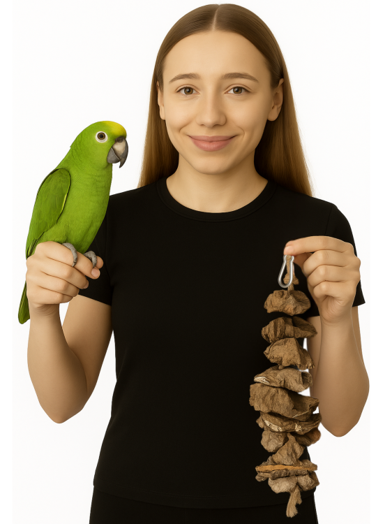 Naturalna zabawka|Gryzak z Dębu korkowego | Korek na sznurku| dla małych i średnich papug od ParrotPlanet.pl