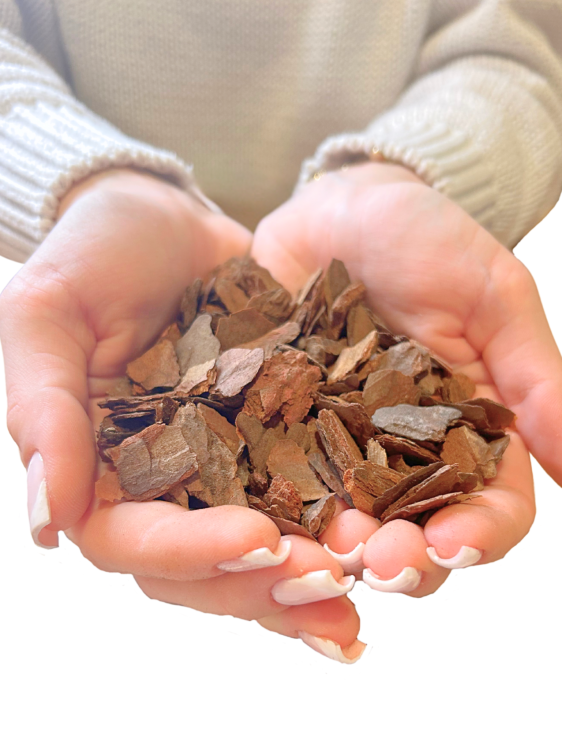 Naturalna Kora, Rozmiar S 5 L - uniwersalna dekoracja i kryjówka do terrarium gadów i płazów od ParrotPlanet.pl