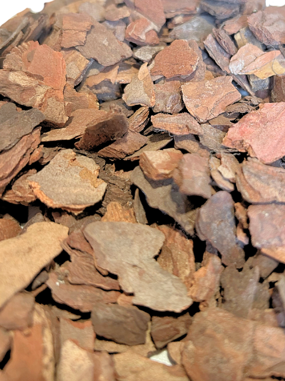 Naturalna Kora, Rozmiar S 5 L - uniwersalna dekoracja i kryjówka do terrarium gadów i płazów od ParrotPlanet.pl