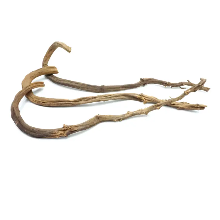 Liana – Pęd bananowca do terrarium (60–70 cm / 2–3 cm) od ParrotPlanet.pl