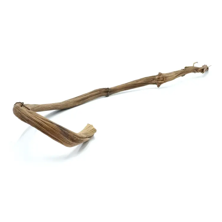 Liana – Pęd bananowca do terrarium (60–70 cm / 2–3 cm) od ParrotPlanet.pl
