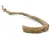 Liana – Pęd bananowca do terrarium (60–70 cm / 2–3 cm) od ParrotPlanet.pl