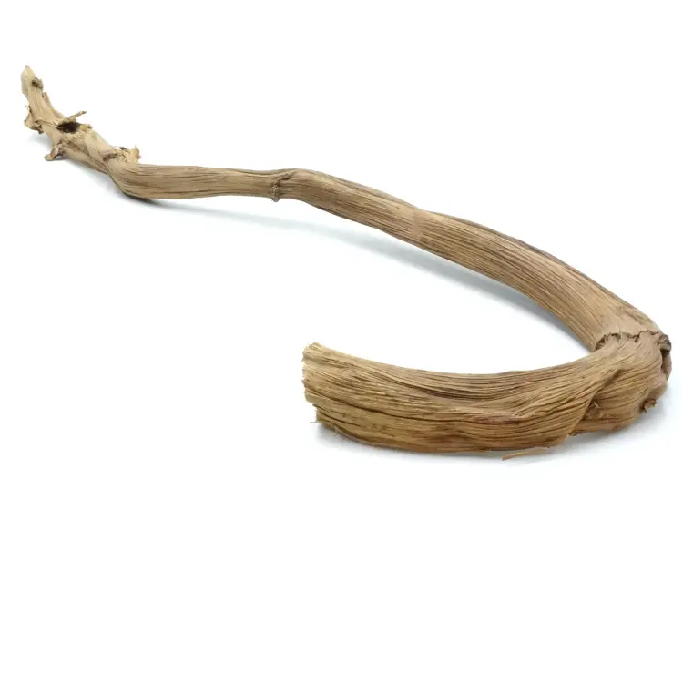 Liana – Pęd bananowca do terrarium (60–70 cm / 2–3 cm) od ParrotPlanet.pl
