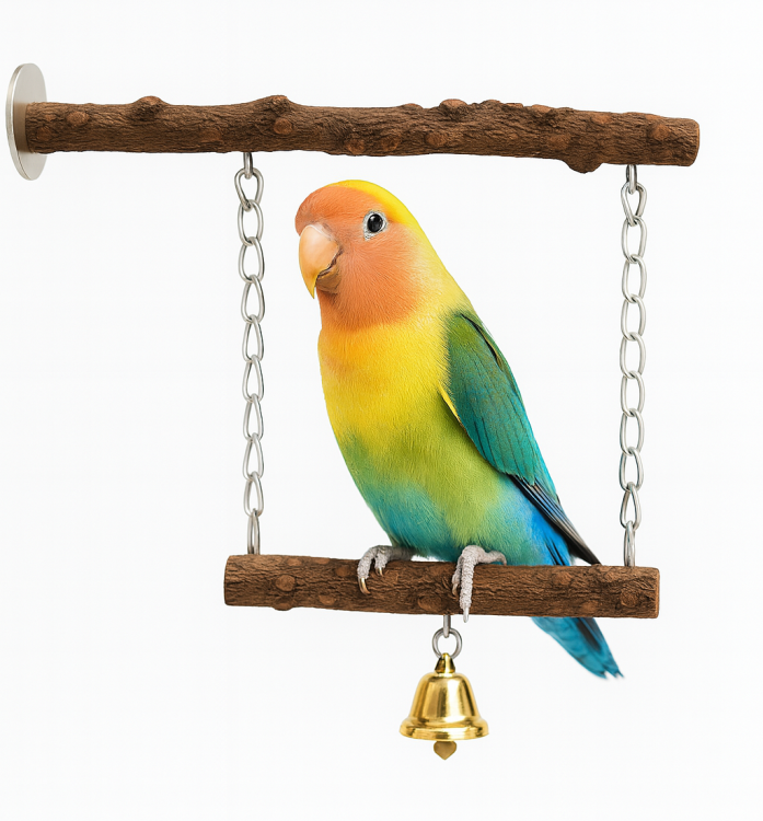 Double Joy Swing – podwójna huśtawka z dzwoneczkami dla papug od ParrotPlanet.pl