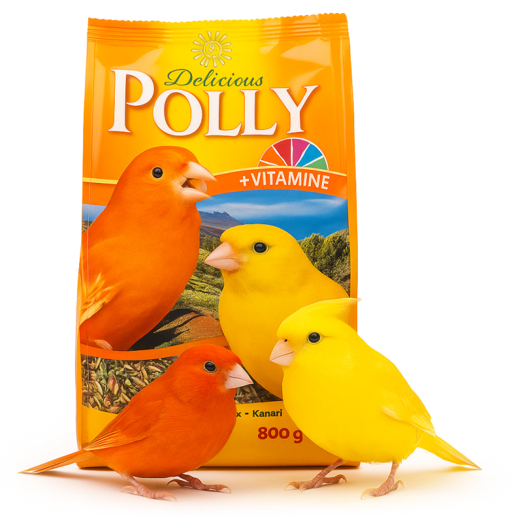 Vitakraft Polly Delicious - Pokarm dla Kanarka 800g od ParrotPlanet.pl