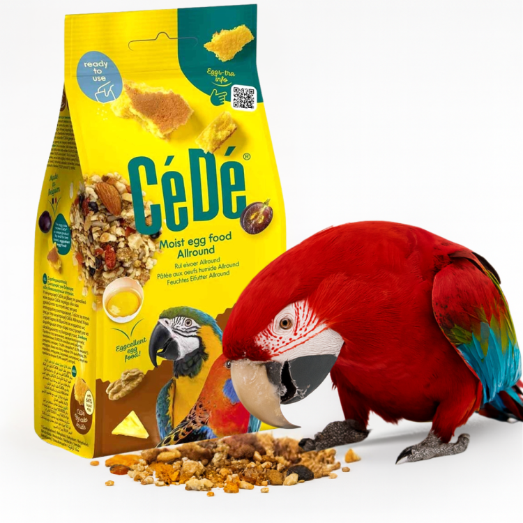 CEDE Allround Nuts &amp; Fruit 200 g – Karma Jajeczna z Orzechami i Owocami dla Papug i innych Ptaków od ParrotPlanet.pl