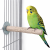 Back Zoo Nature Super Stone Perch – kamienna żerdź do ścierania pazurów i dzioba 12 cm / 18 mm dla średnich i małych papug od Parrotplanet.pl