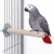 Back Zoo Nature Super Stone Perch 28 cm Ø40 mm – mineralna żerdź do klatki dla średnich i dużych papug do ścierania pazurków i dzioba od Parrotplanet.pl