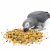 Witte Molen Country Parrots 2 kg – pokarm dla dużych papug z witaminami i minerałami od ParrotPlanet.pl