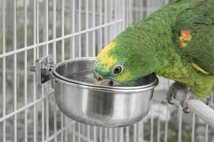 DUVO+ miska przykręcana do klatki dla ptaków 9,5 cm 330 ml  od ParrotPlanet.pl