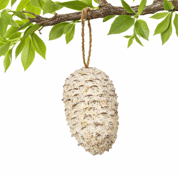 Połkilogramowa Szyszka Sosnowa dla smakoszy - pyszna przekąska dla wszystkich ptaków od ParrotPlanet.pl