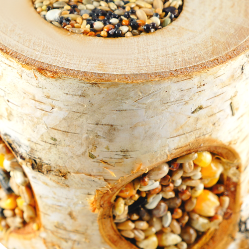 Zbożowe Drewienko - dla wszystkich gryzoni w tym myszy, szczurów, chomików, myszoskoczków od ParrotPlanet.pl