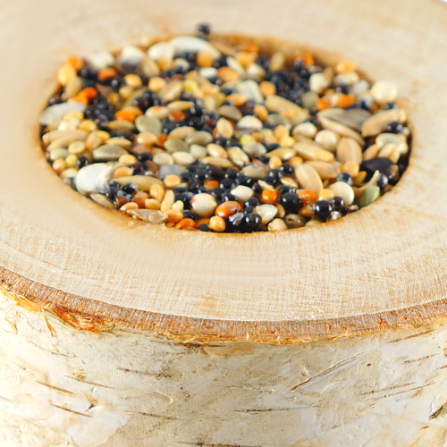 Zbożowe Drewienko - dla wszystkich gryzoni w tym myszy, szczurów, chomików, myszoskoczków od ParrotPlanet.pl