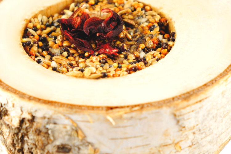 Kwiatowa radość z ziarnami - dla wszystkich gryzoni w tym: królików, kawii domowej, myszy, chomików, szczurów, myszoskoczków od ParrotPlanet.pl