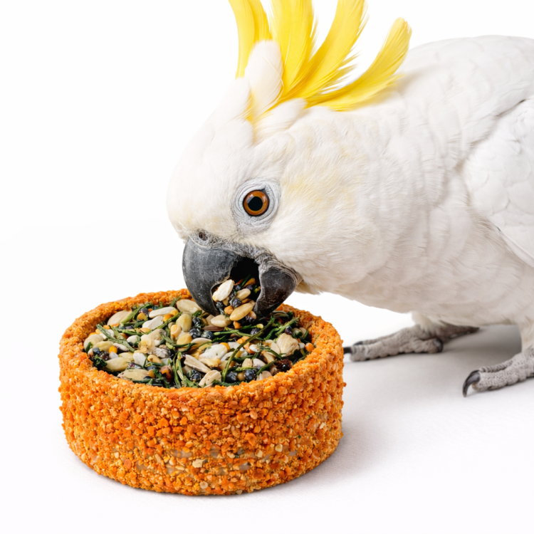 Smakowe tuneliki nadziewane Marchewką i Ziarnem - dla wszystkich papug od ParrotPlanet.pl