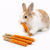 Paluszki z Marchewką - Pyszna Przekąska dla Wszystkich Gryzoni w tym: królików, kawii domowej, myszy, chomików, szczurów, myszoskoczków od ParrotPlanet.pl