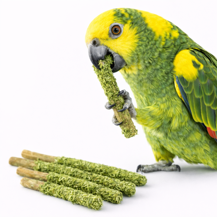 Paluszki z Pietruszką - dla wszystkich papug od ParrotPlanet.pl