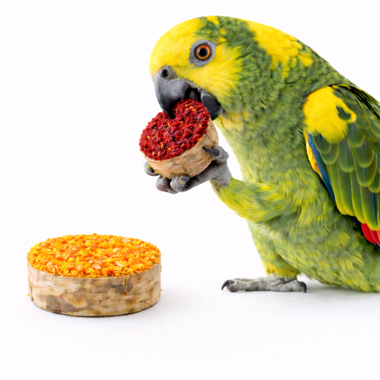 Brzozówki z Warzywami i Nagietkiem - Zdrowa Przekąska i Zabawka dla Papug - 70g od ParrotPlanet.pl