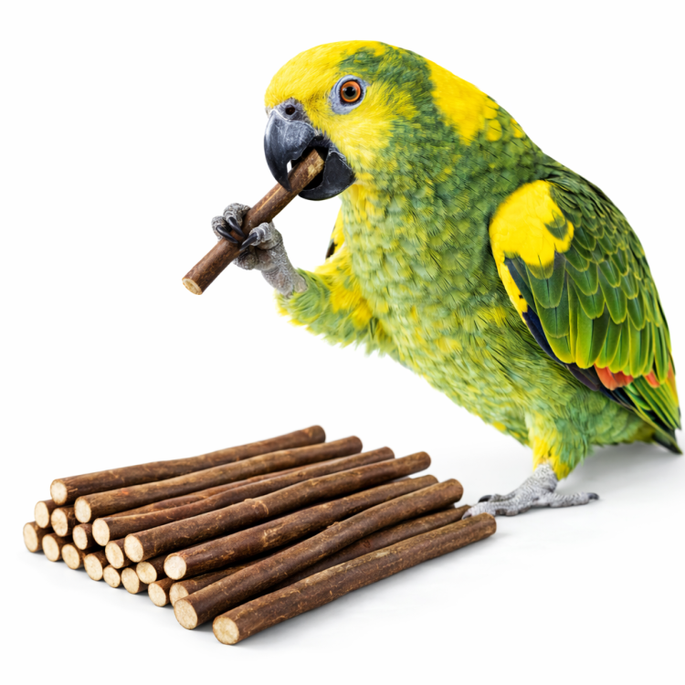 Wiklinowe Gałązki - dla wszystkich papug 100g od ParrotPlanet.pl