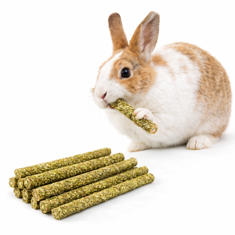 Gałązki Pędy Leszczyny - z koniczyną i poziomką - pyszna przekąska dla wszystkich gryzoni 60g  od ParrotPlanet.pl