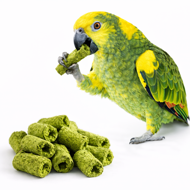 Chrupki Topinambur - Pietruszka | Pyszna przekąska | dla wszystkich papug 60g od ParrotPlanet.pl