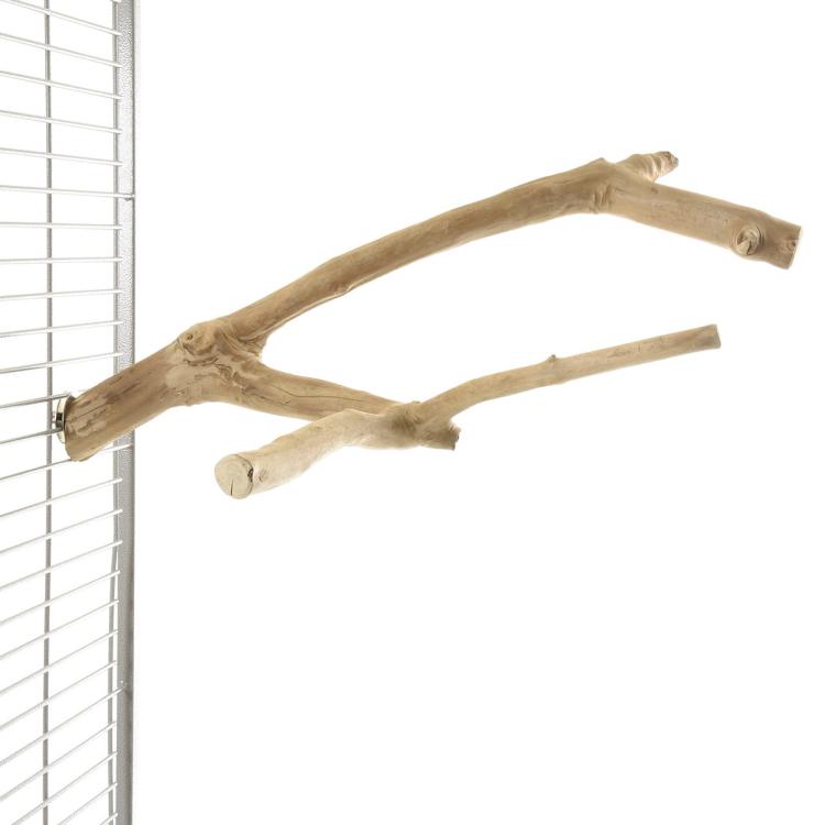 Żerdź JAVA gałąź M dla papug od ParrotPlanet.pl